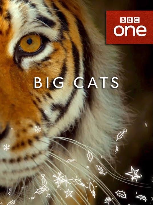 大猫 Big Cats 第一季.E02