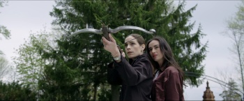 群鸟之地.Birdland.2018