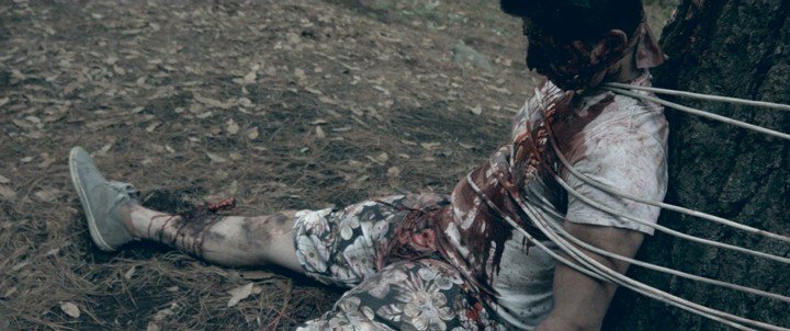 罗米娜.Romina.2018[大尺度恐怖惊悚]