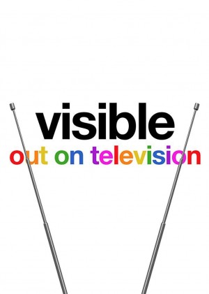 从暗到明：电视与彩虹史/Visible: Out on Television.第一季全5集
