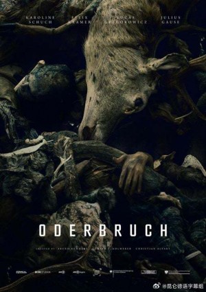 奥德布鲁赫/Oderbruch.第一季全8集