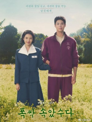 苦尽柑来遇见你/폭싹 속았수다.2025.[韩剧].全16集