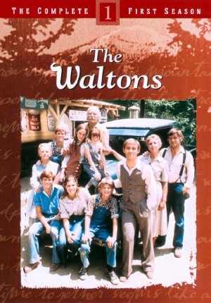 沃尔顿一家/The Waltons.1-6季.S06E26