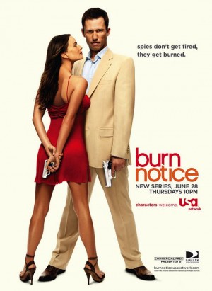 火线警告/Burn Notice.1-7季全集