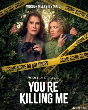 合著谋杀案/You're Killing Me.第一季全6集