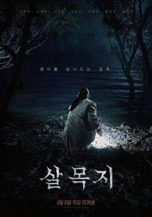 杀木地/살목지.2026