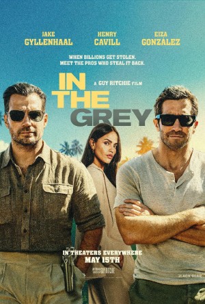 金谍行动/In the Grey.2026