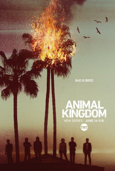 动物王国/野兽家族/Animal Kingdom.1-6季全集
