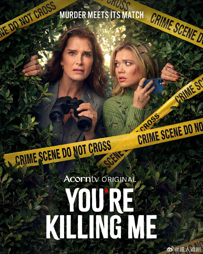 合著谋杀案/You're Killing Me.第一季全6集